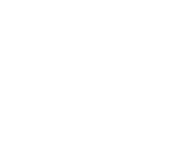 Network Connections icon